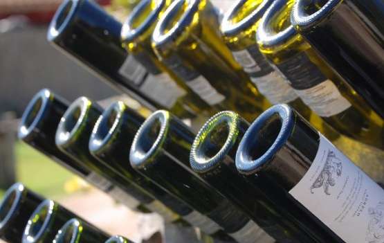 Mendoza | Rota do Vinho
